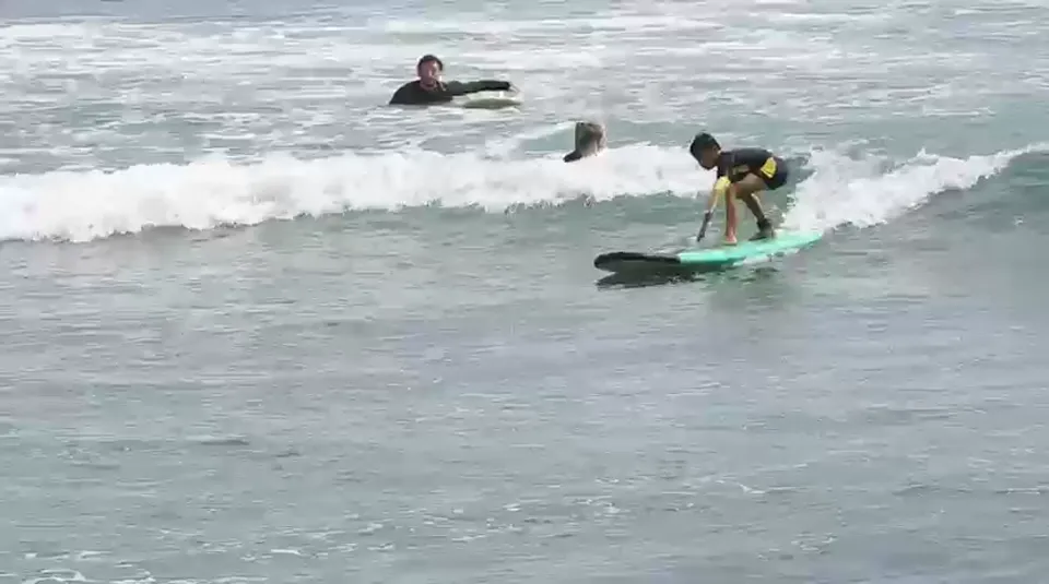 Ocean Surf Lesson Bali training video